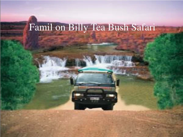 Famil on Billy Tea Bush Safari