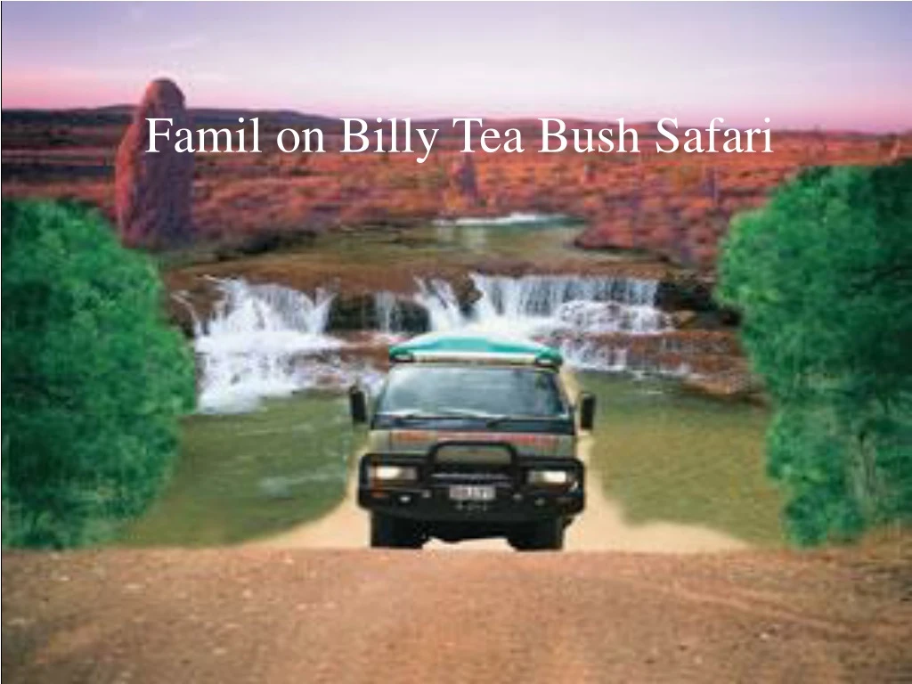 famil on billy tea bush safari