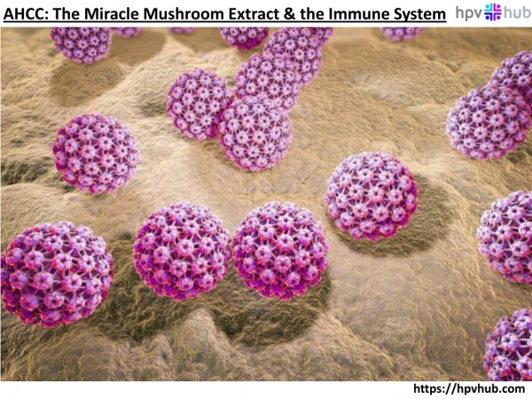 AHCC - HPV Treatment: The Miracle Mushroom Extract & the Immune System