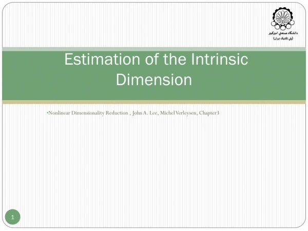 Estimation of the Intrinsic Dimension