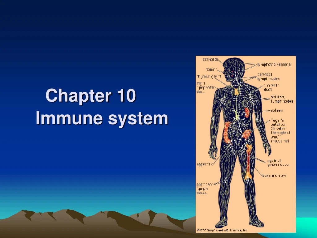 chapter 10 immune system