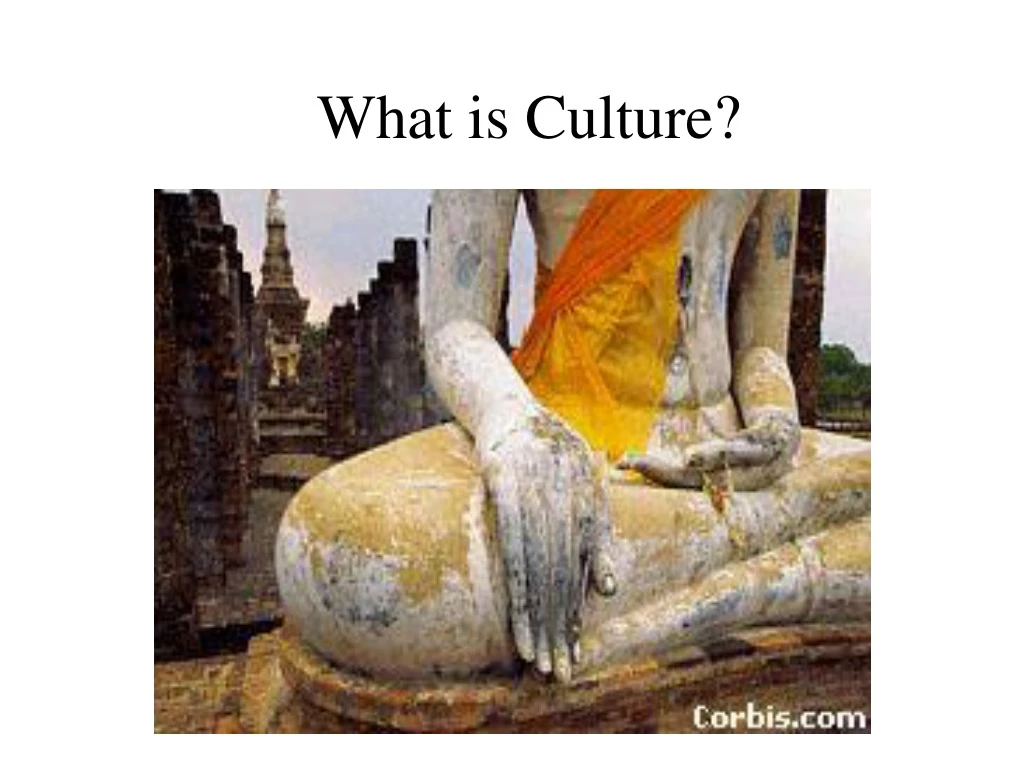 what is culture