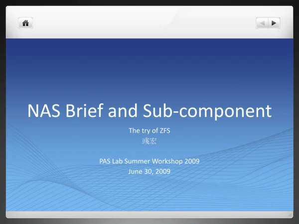 NAS Brief and Sub-component