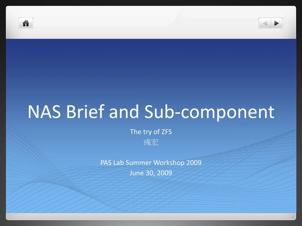 nas brief and sub component