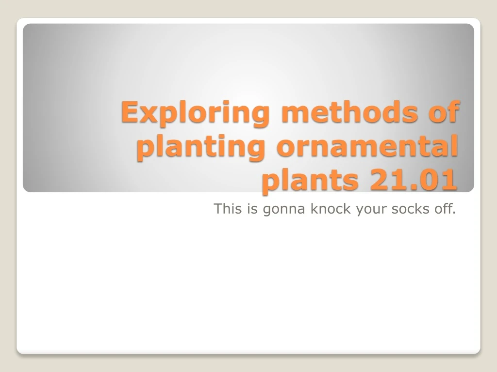 exploring methods of planting ornamental plants 21 01
