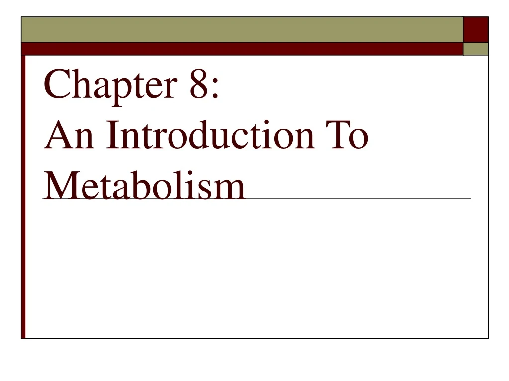 chapter 8 an introduction to metabolism