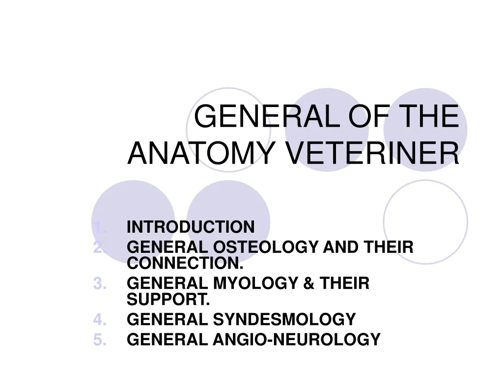 general of the anatomy veteriner