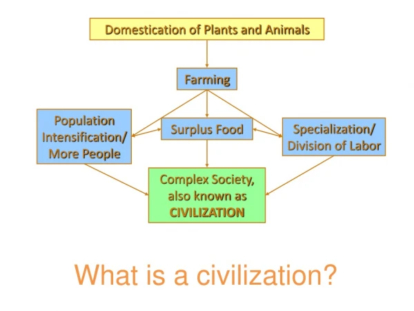 Domestication of Plants and Animals