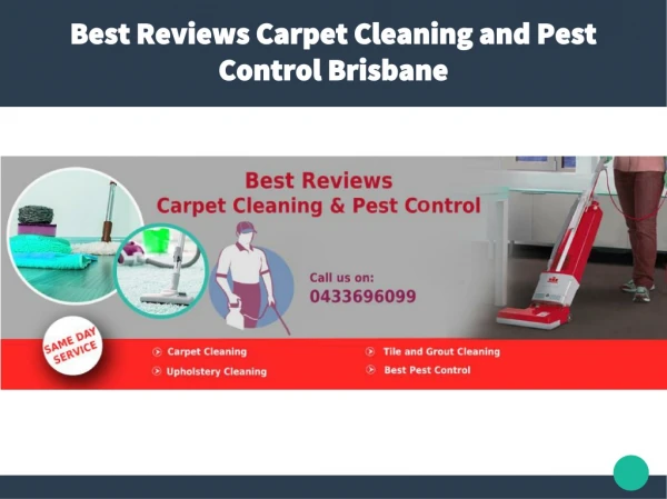 Best Reviews Carpet Cleaning and Pest Control Brisbane