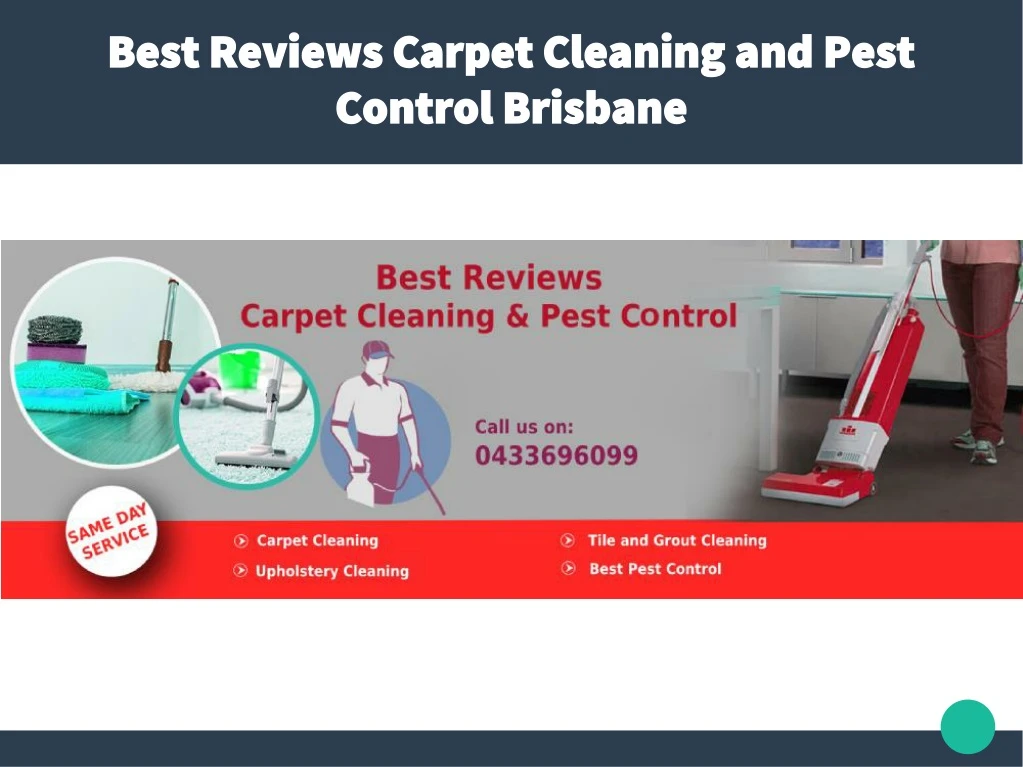 best reviews carpet cleaning and pest control