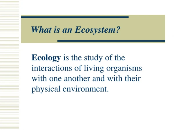 What is an Ecosystem?