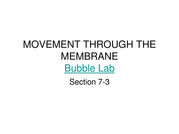MOVEMENT THROUGH THE MEMBRANE Bubble Lab