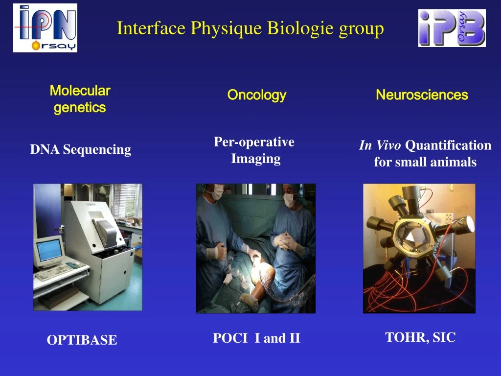 interface physique biologie group