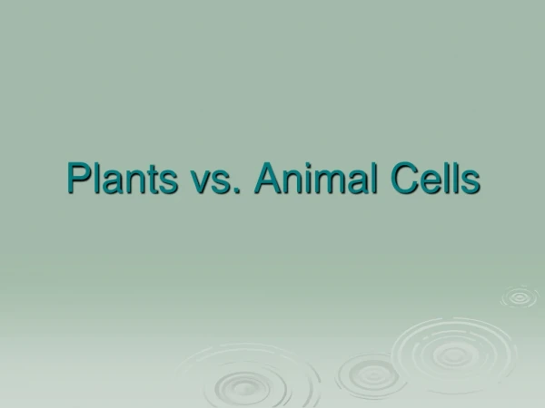 Plants vs. Animal Cells