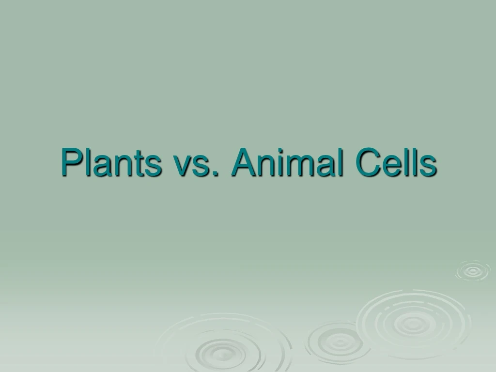 plants vs animal cells