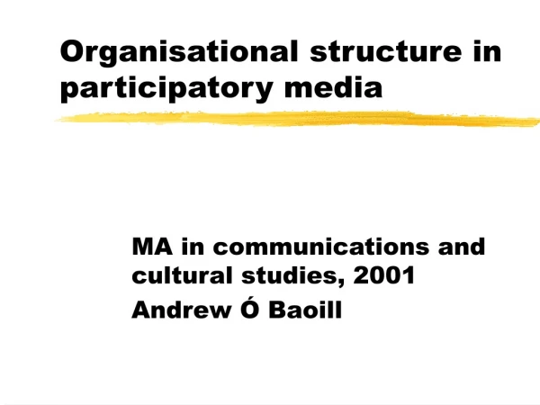 Organisational structure in participatory media