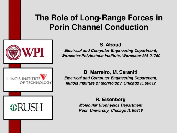 The Role of Long-Range Forces in Porin Channel Conduction