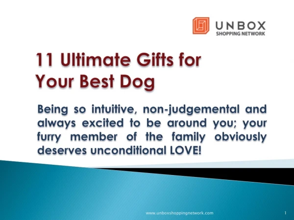 11 Ultimate Gifts for Your Best Dog
