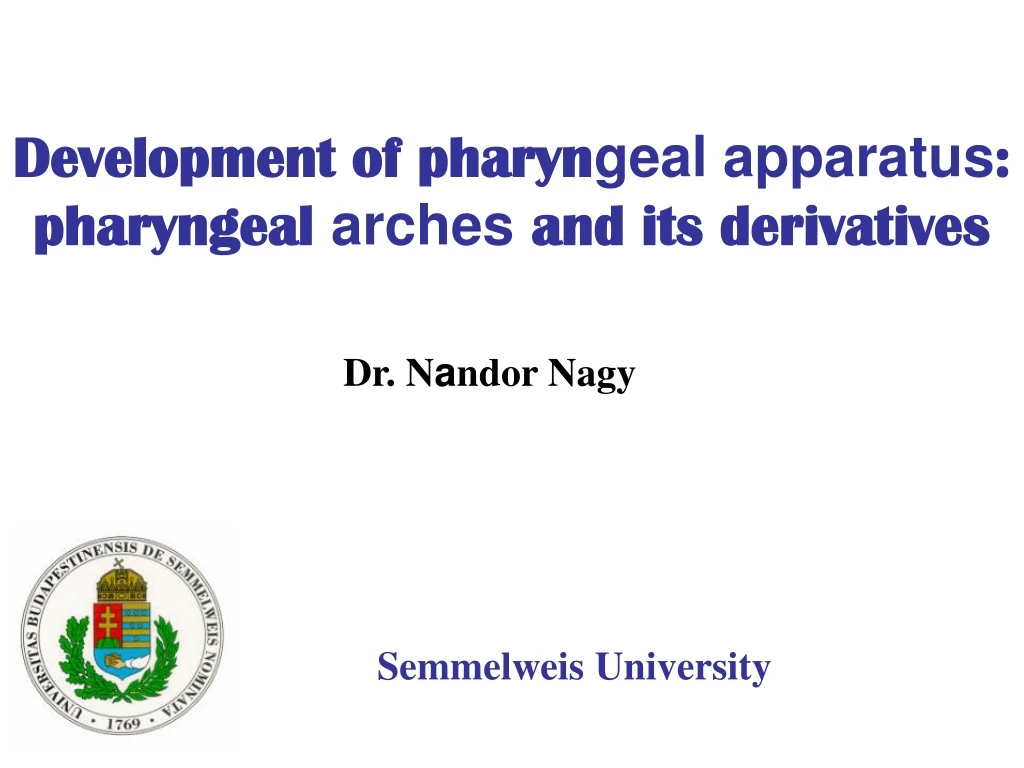 development of pharyn geal apparatus pharyngeal