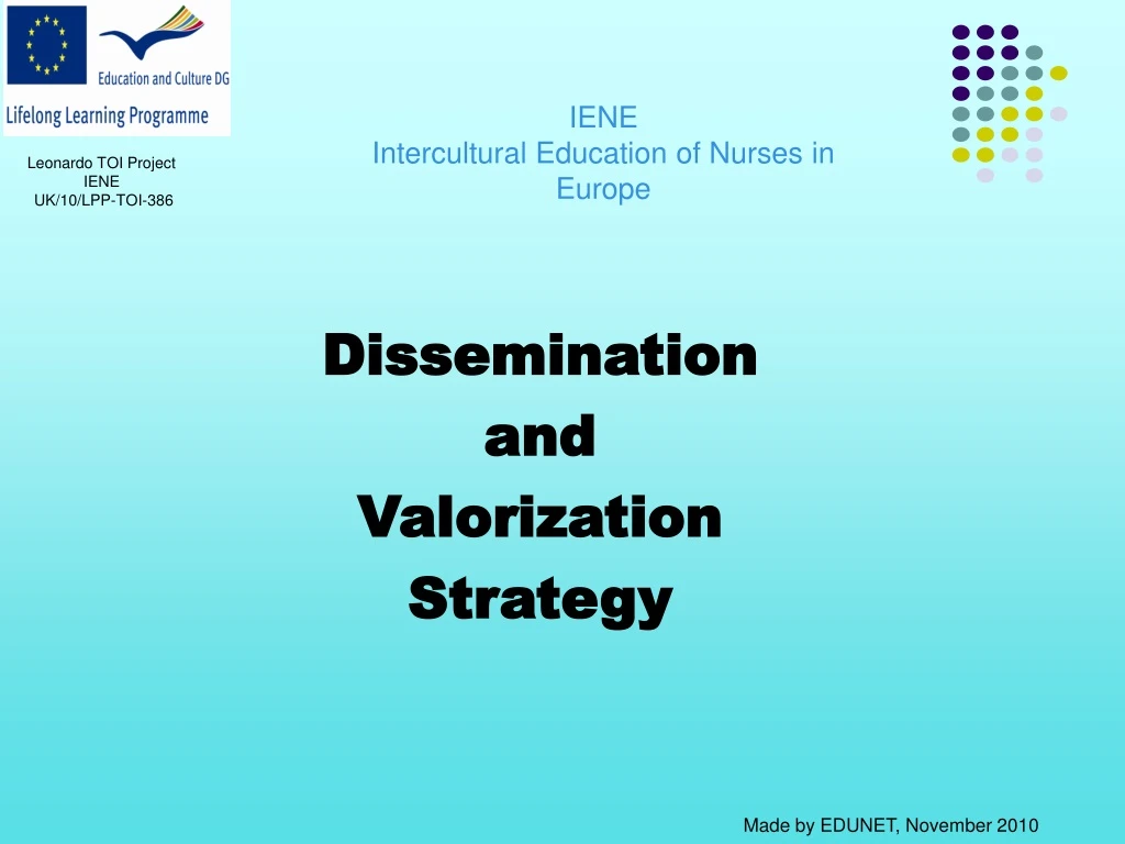 iene intercultural education of nurses in europe
