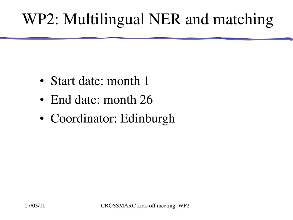 wp2 multilingual ner and matching