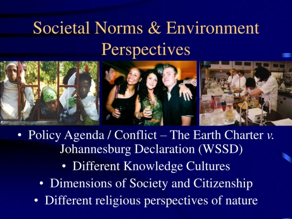 Societal Norms &amp; Environment Perspectives