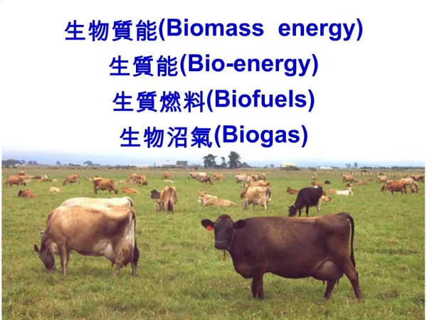 Biomass energy Bio-energy Biofuels Biogas