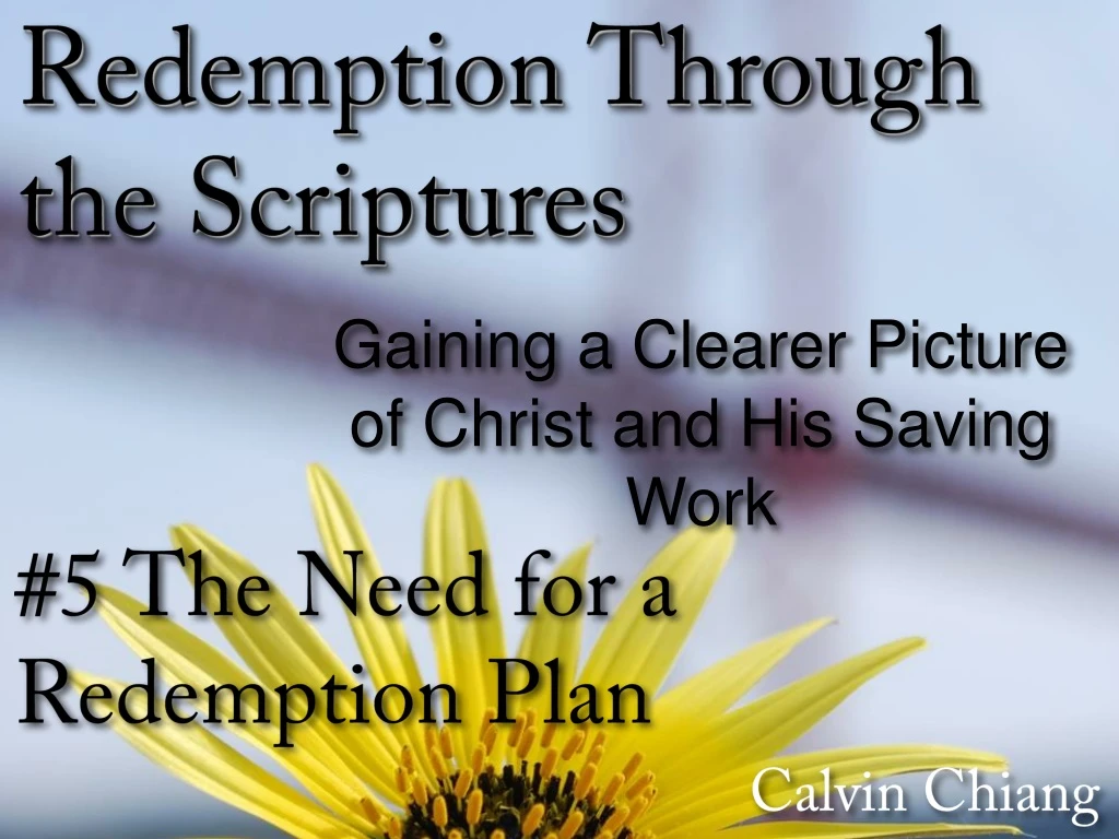 5 the need for a redemption plan