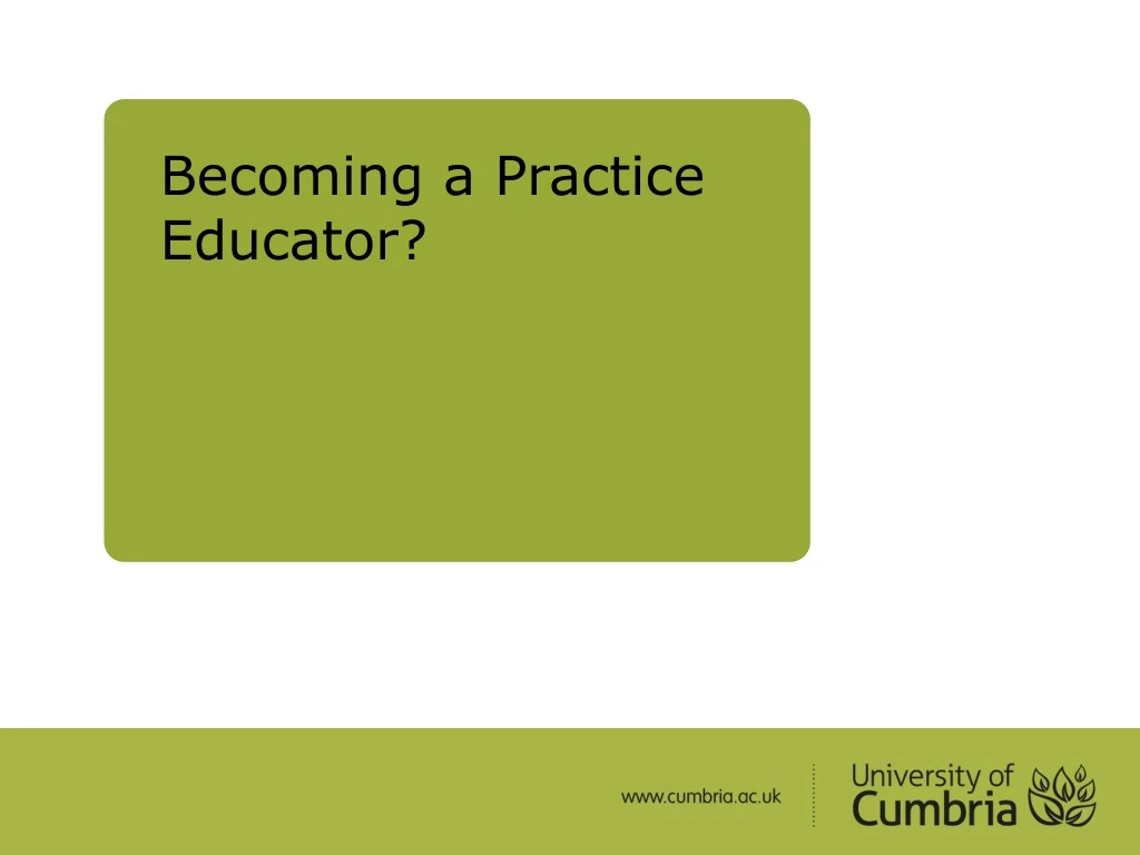 becoming a practice educator