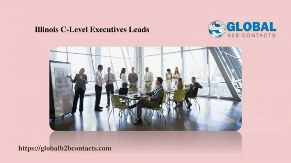 Illinois C-Level Executives Leads