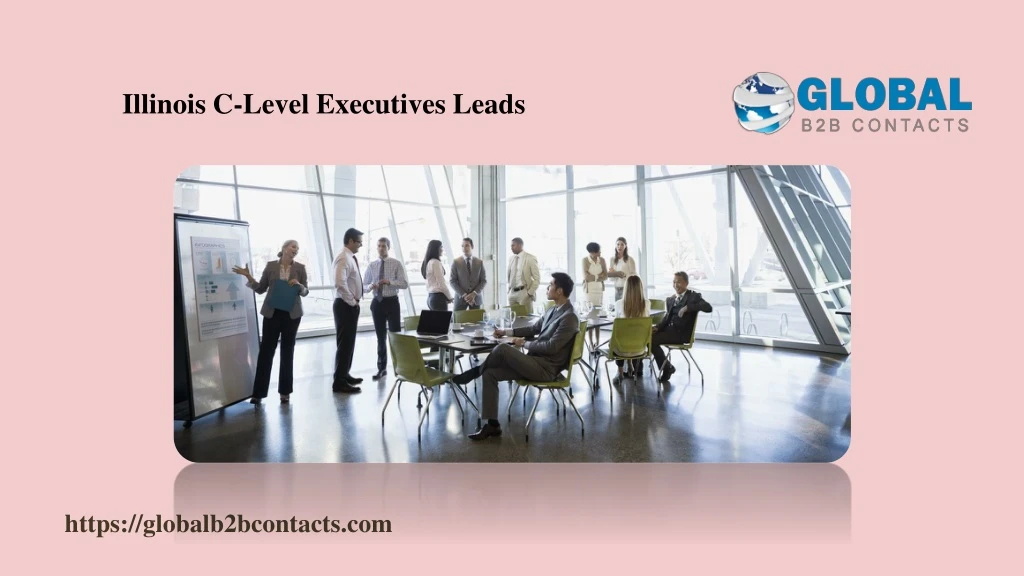 illinois c level executives leads