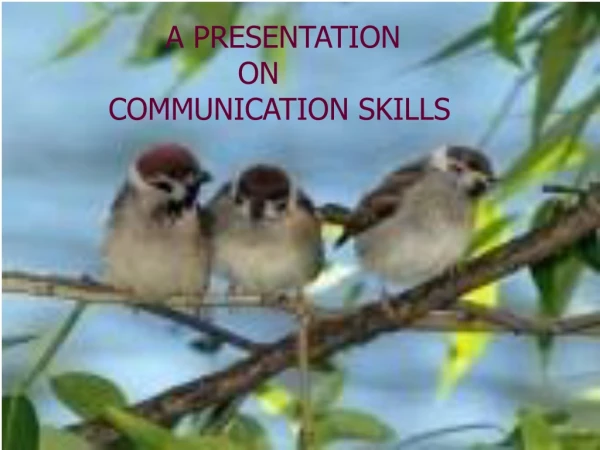 A PRESENTATION 		 ON COMMUNICATION SKILLS