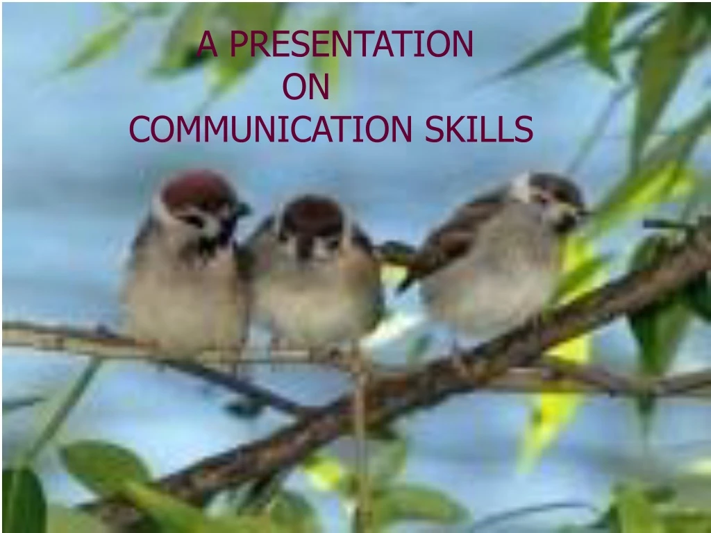 a presentation on communication skills