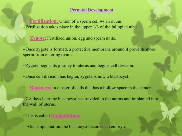 Prenatal Development Fertilization : Union of a sperm cell w/ an ovum.