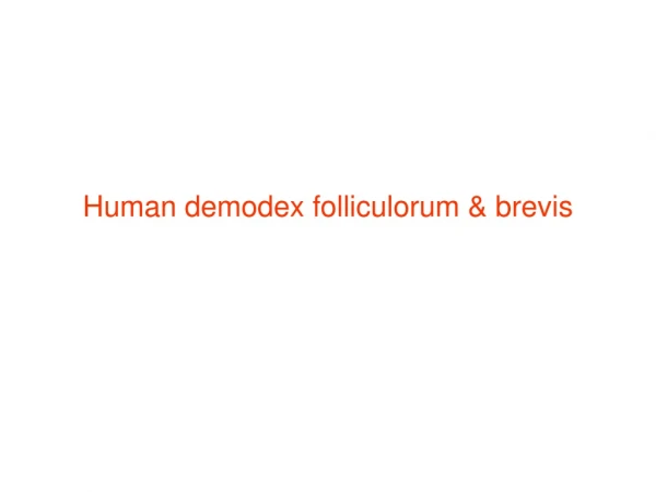 Human demodex folliculorum &amp; brevis