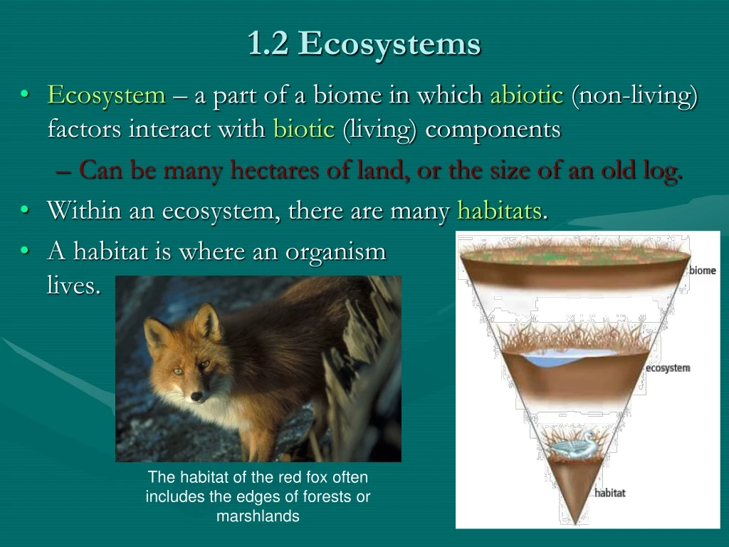 1 2 ecosystems