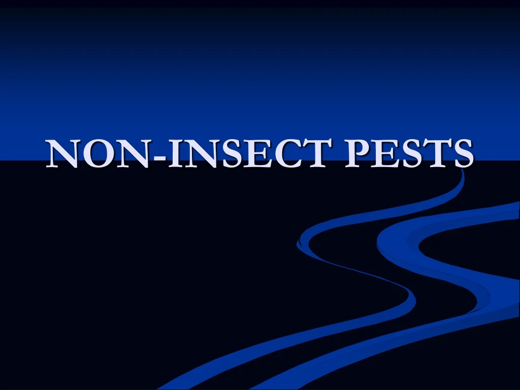 non insect pests