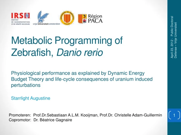 Metabolic Programming of Zebrafish, Danio rerio