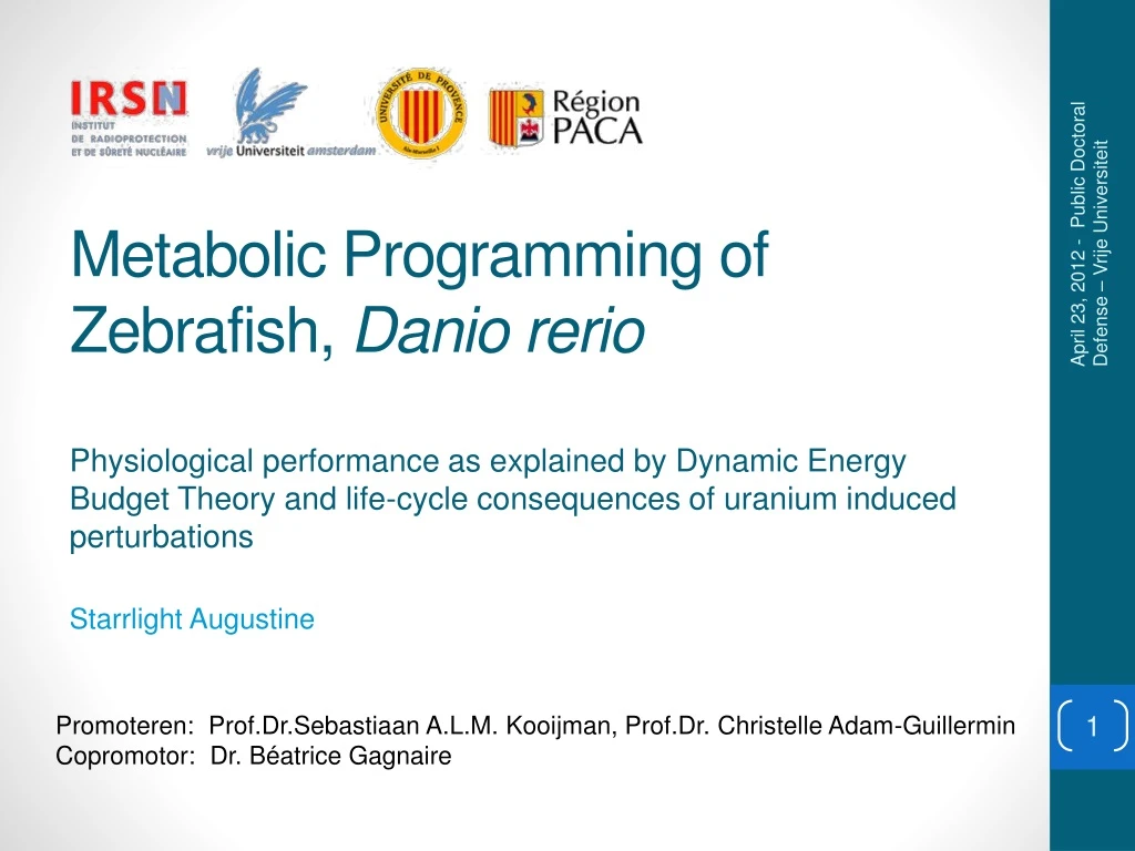 metabolic programming of zebrafish danio rerio
