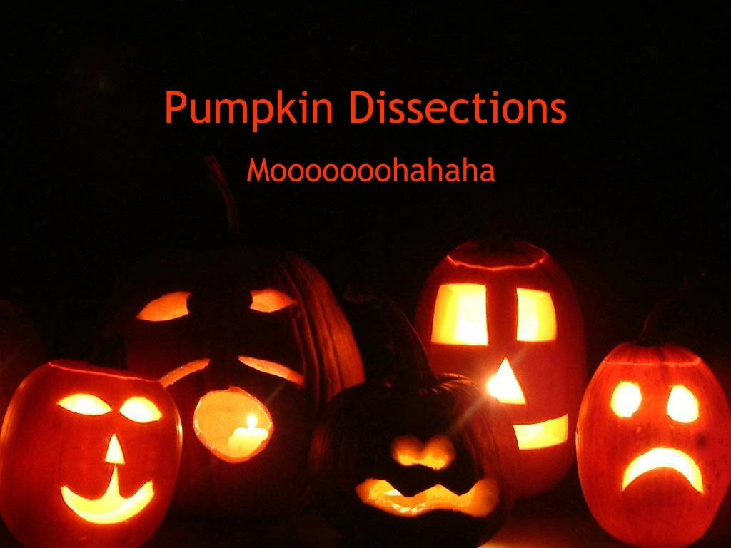 pumpkin dissections