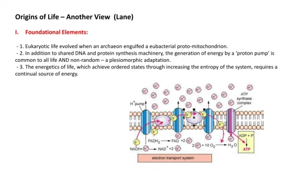 Origins of Life – Another View (Lane) Foundational Elements: