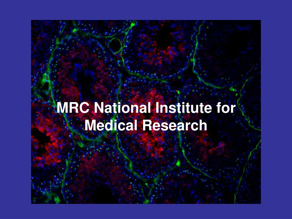 mrc national institute for medical research