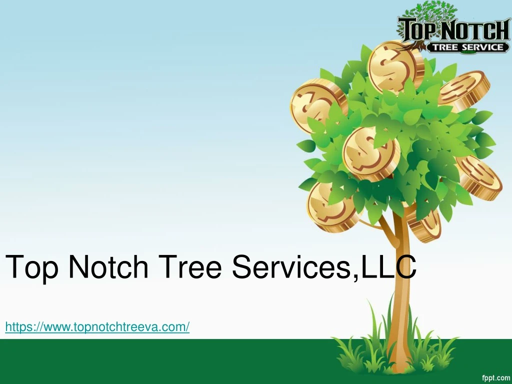 top notch tree services llc