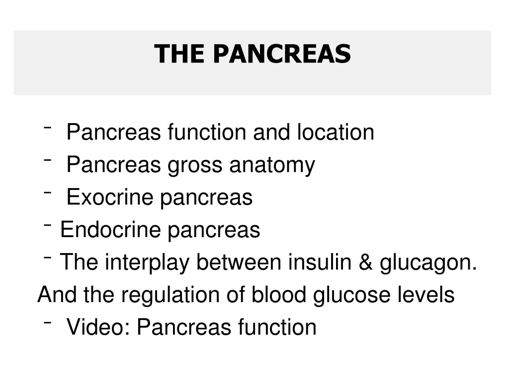 the pancreas