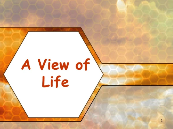 A View of Life