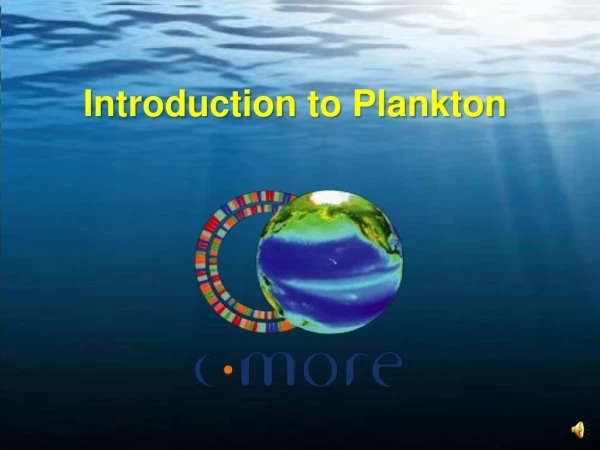 Introduction to Plankton