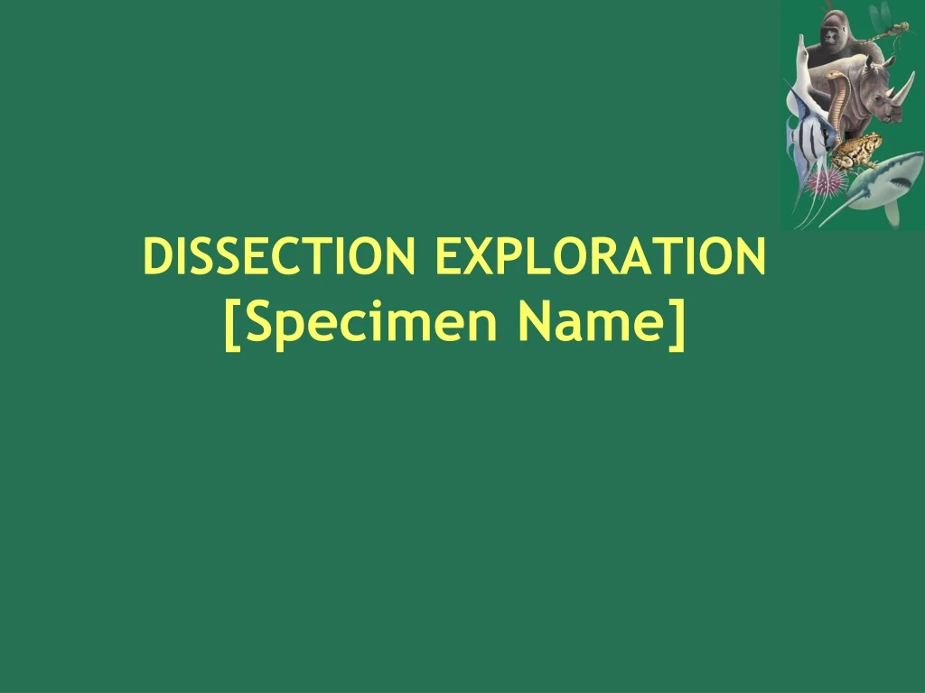 dissection exploration specimen name