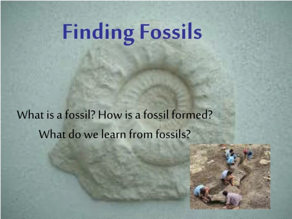 Finding Fossils