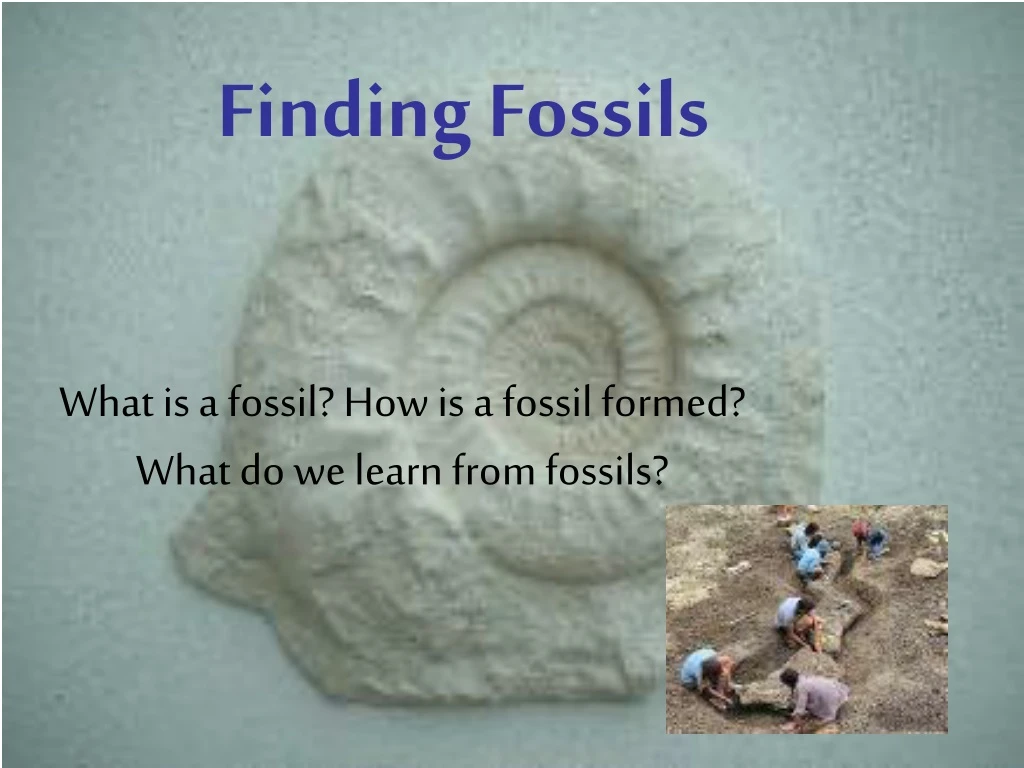 finding fossils