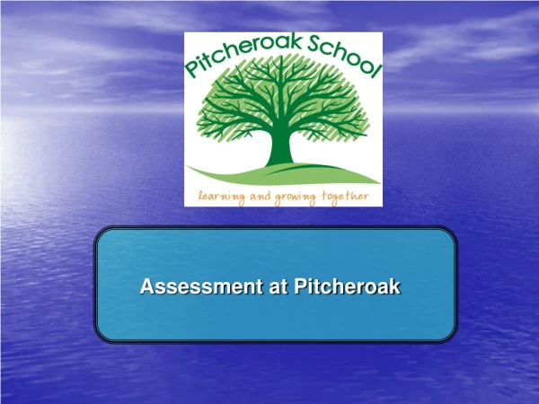 Assessment at Pitcheroak